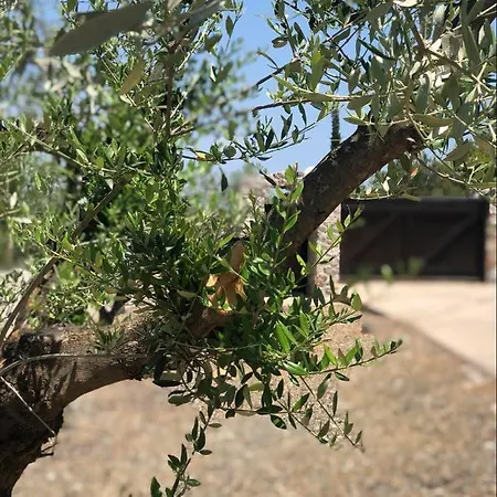 乡村民宿 Filoxenos Estia-houses 波多河丽