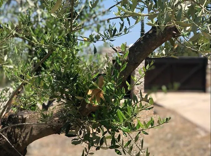 Gospodarstwo wiejskie Filoxenos Estia-houses Porto Heli